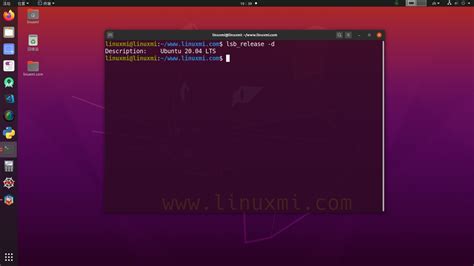 ubuntu服务器开发