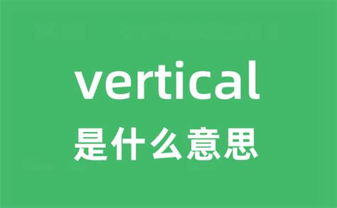 vertical是什么意思中文
