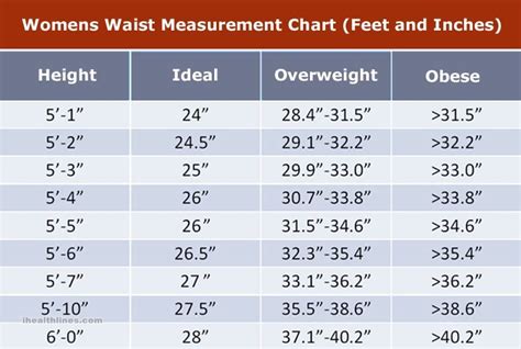 waist size 93-100 cm