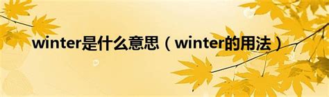 winter是什么意思翻译